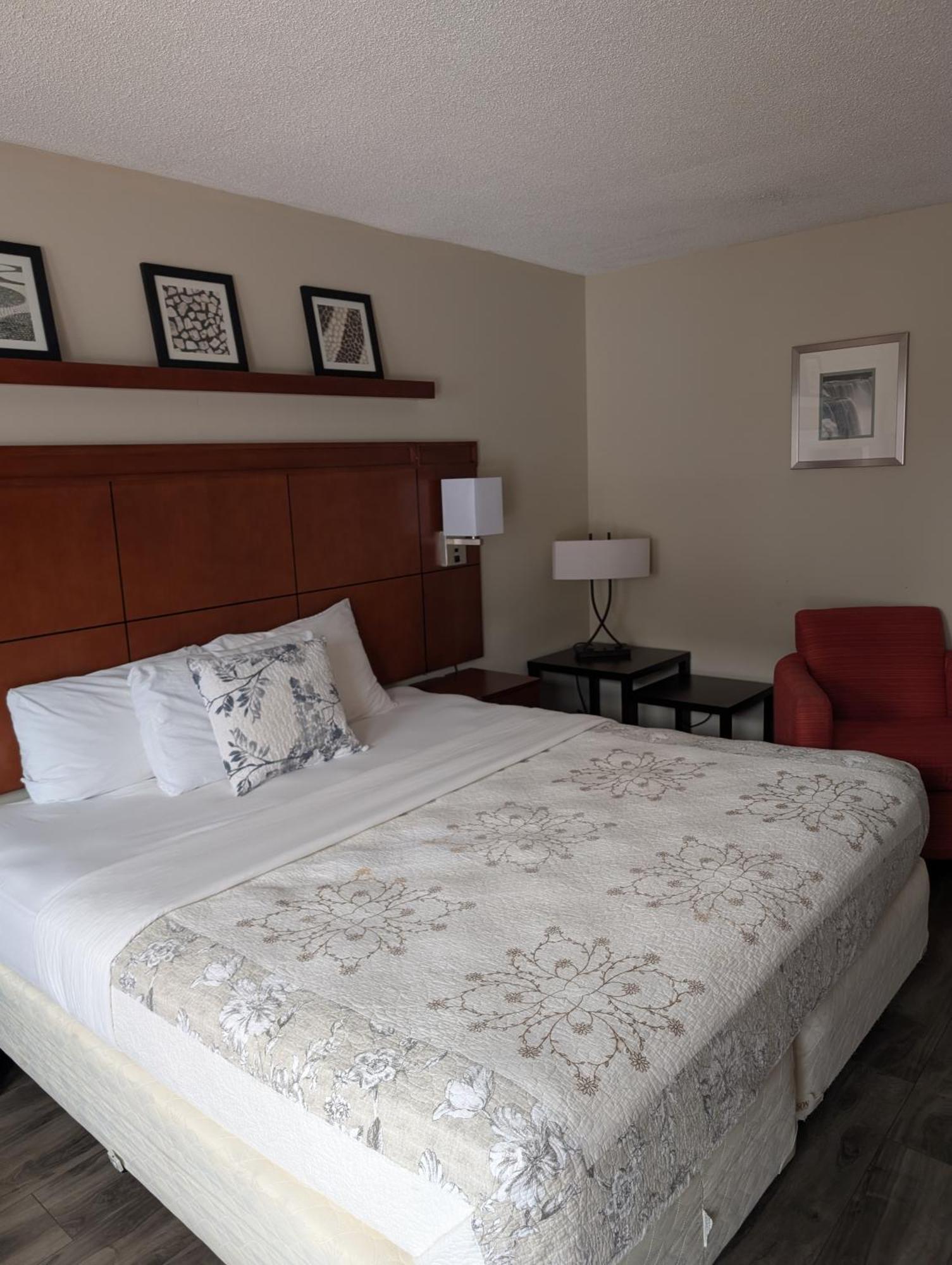 7 Nights Hotel 2*