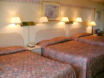 7 Nights Hotel 2*